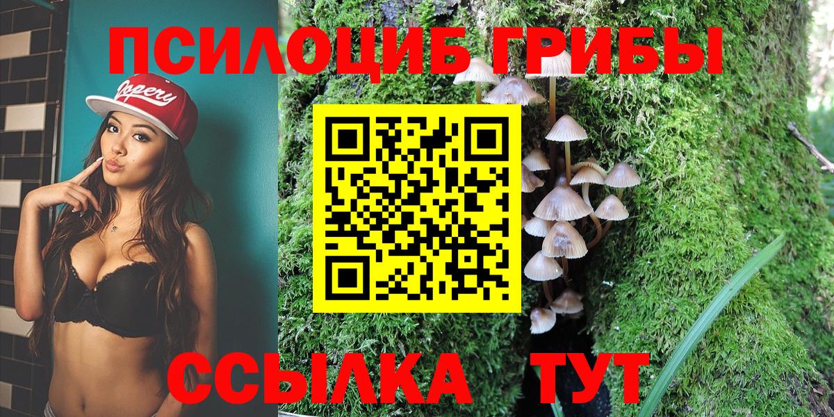 Галлюциногенные грибы Psilocybine cubensis Печора