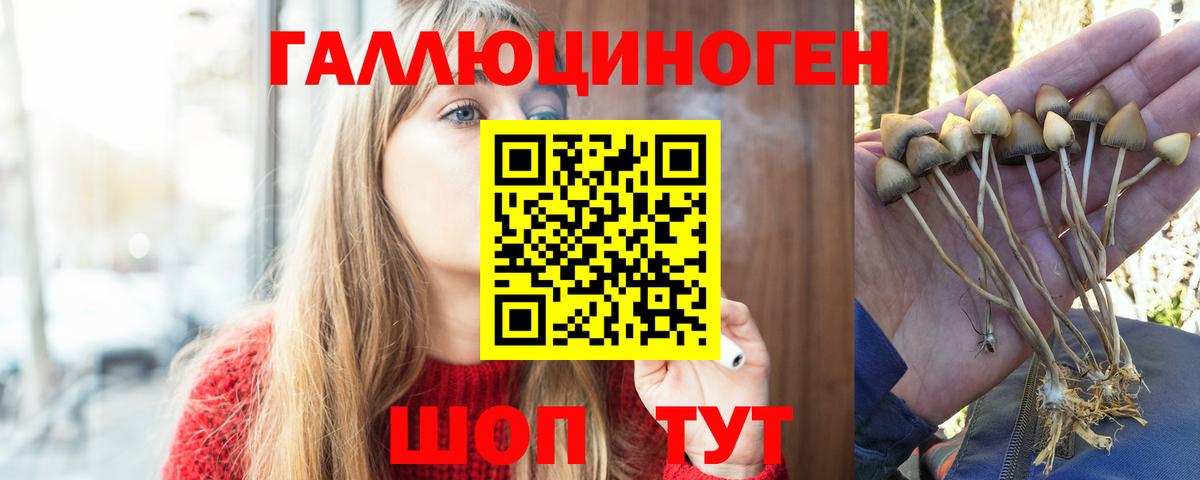 купить закладку  Вход с VPN  Печора  Галлюциногенные грибы мицелий  Псилоцибиновые грибы Psilocybine cubensis 