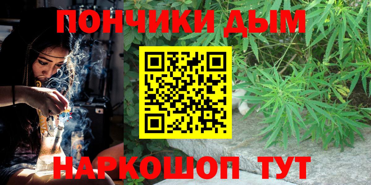 Конопля гибрид Печора